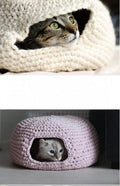Cat Bed